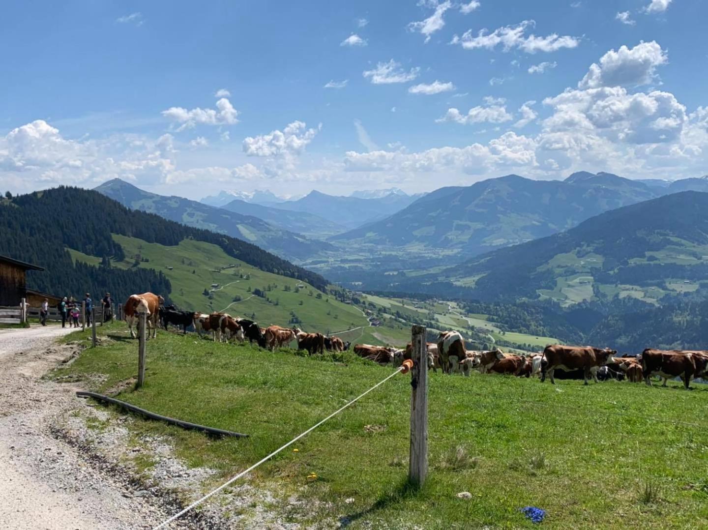 Appartement Alpenhof Wildschoenau Нидерау Экстерьер фото