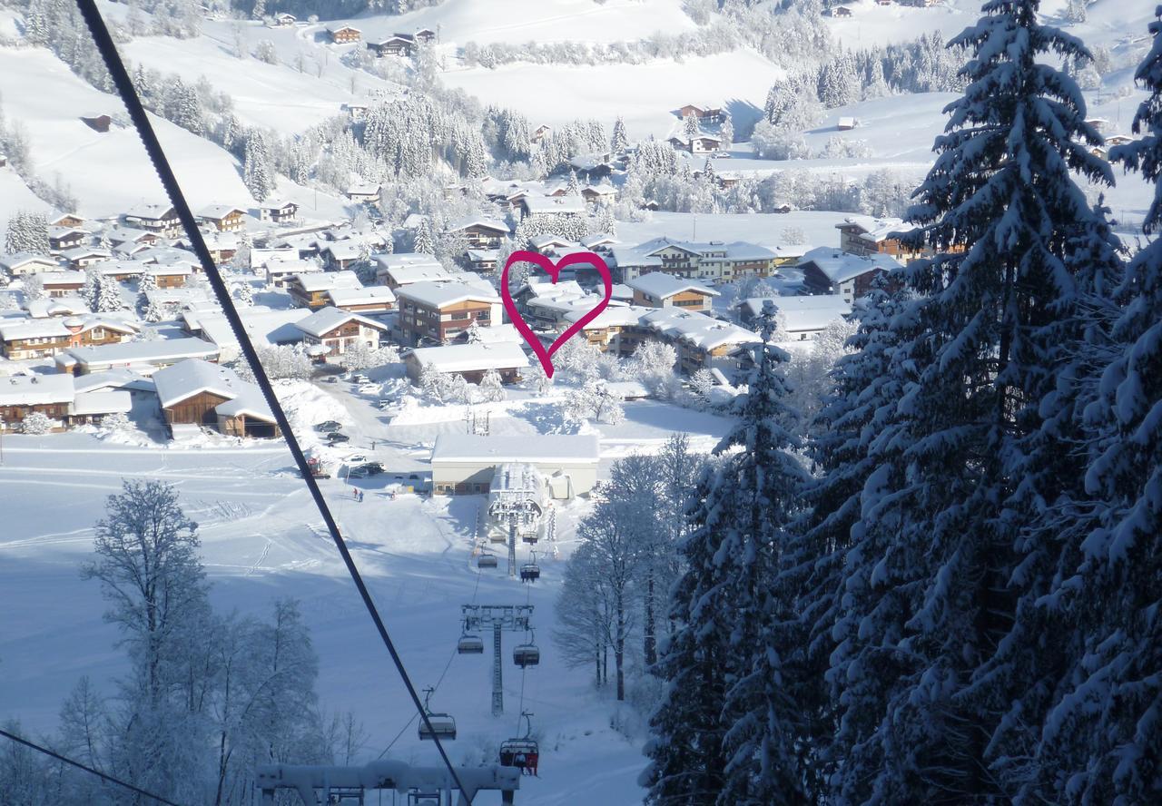 Appartement Alpenhof Wildschoenau Нидерау Экстерьер фото