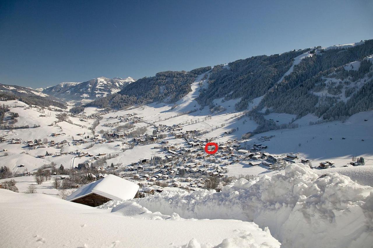 Appartement Alpenhof Wildschoenau Нидерау Экстерьер фото